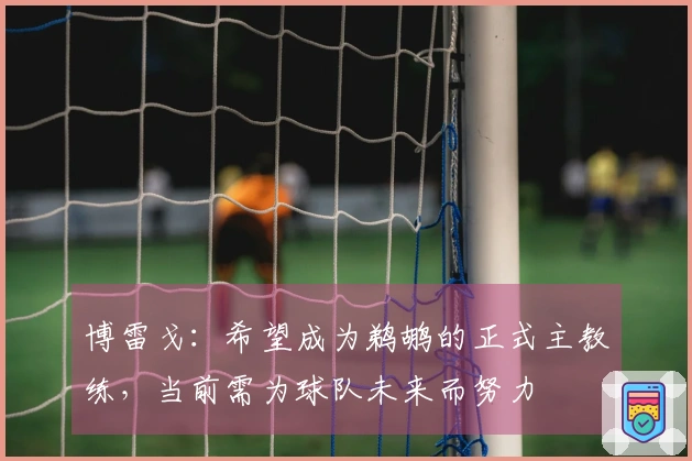 博雷戈：希望成为鹈鹕的正式主教练，当前需为球队未来而努力